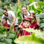 Trung Tâm Kỹ Năng Sống VietEdu: Khơi Nguồn Tiềm Năng – Vững Bước Tương Lai