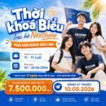 Trại Hè Phát Triển Toàn Diện Vietedu 2026: 3 Ngày “Phá Kén” – Nuôi Dưỡng Bản Lĩnh Trẻ 3