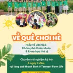 Trại Hè Tiêu Chuẩn 4N3Đ “Về Quê Chơi Hè”: Giải Pháp Phát Triển Toàn Diện Cho Trẻ 8-14 Tuổi 3