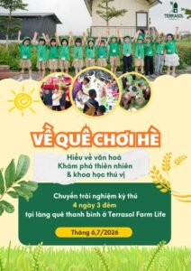 Trại Hè Tiêu Chuẩn 4N3Đ “Về Quê Chơi Hè”: Giải Pháp Phát Triển Toàn Diện Cho Trẻ 8-14 Tuổi