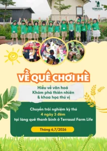 Trại Hè Tiêu Chuẩn 4N3Đ “Về Quê Chơi Hè”: Giải Pháp Phát Triển Toàn Diện Cho Trẻ 8-14 Tuổi