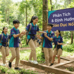 Bí Quyết Giáo Dục Sớm Cấp 1: Phân Tích & Định Hướng Giáo Dục Nổi Bật Cho Trẻ Tự Lập Vững Vàng