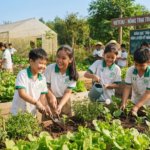 Khám Phá Mô Hình Giáo Dục Trải Nghiệm Thực Tế VietEdu: Chìa Khóa Vàng Rèn Luyện Kỹ Năng Sống Cho Học Sinh Cấp 1, Cấp 2